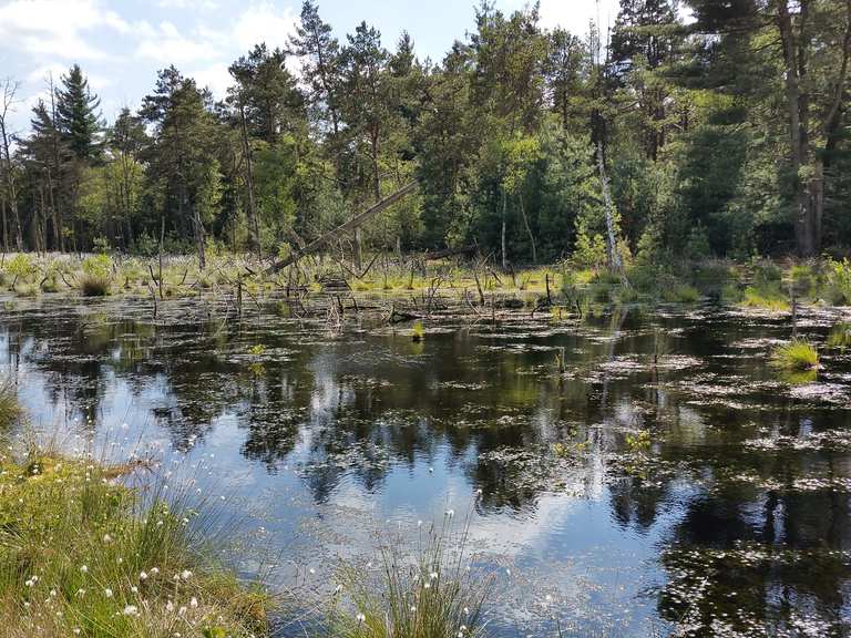 Tister Bauernmoor fietsroutes en kaart | Komoot