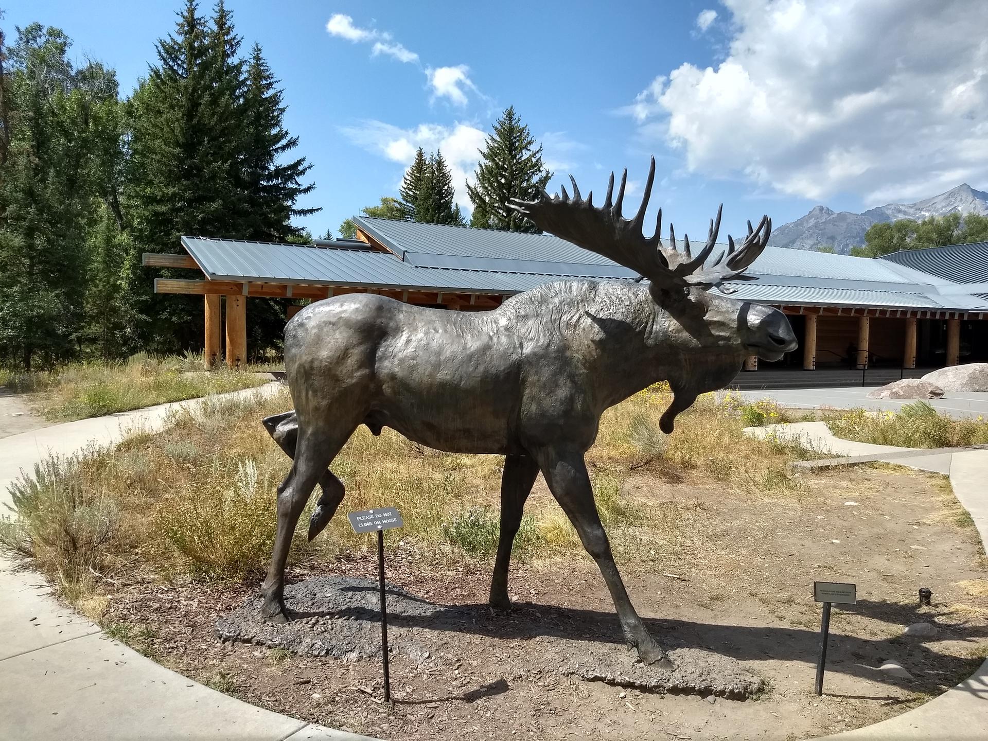 A bronze moose statue in a garden with a building and mountains behind.