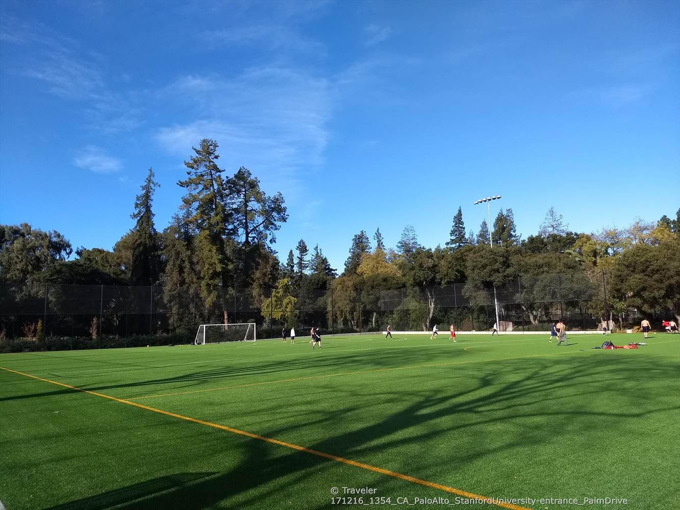 People playing soccer on a green artificial turf field under a blue sky.