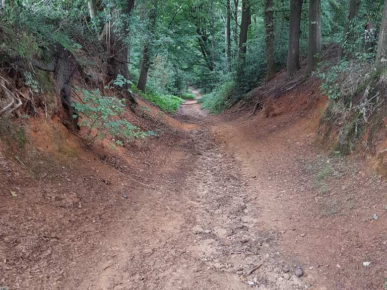 Klein Reken – Hohe Mark Runde von Dorfstraße | Mountainbike-Tour | Komoot