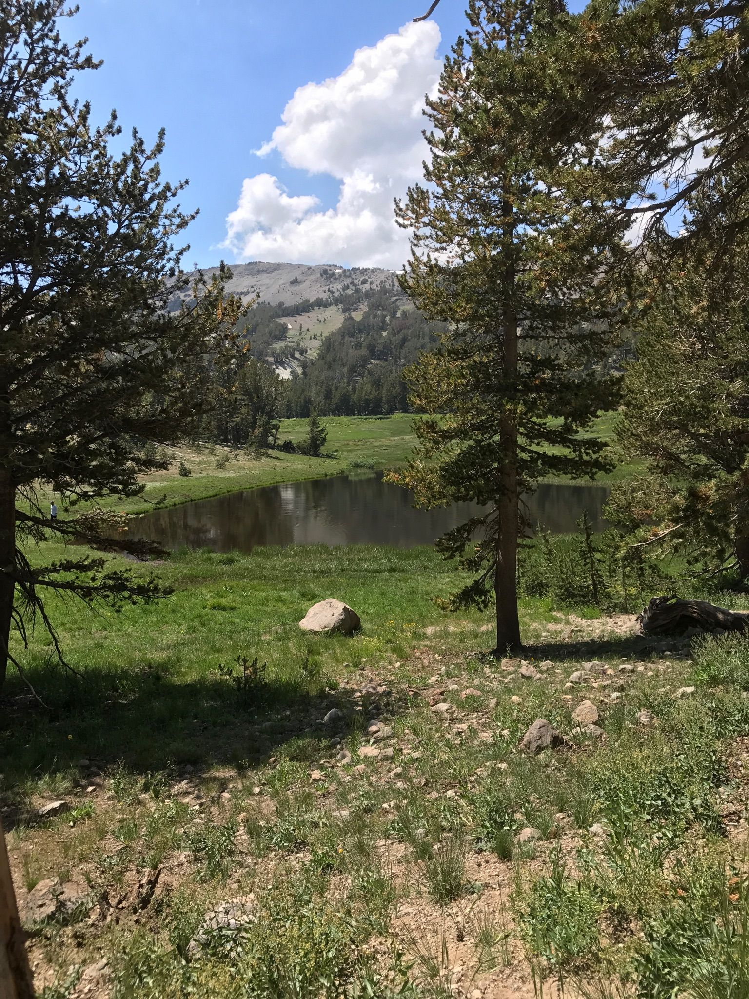 A small pond in a green meadow, surrounded by trees and mountains. - Relay Peak Loop