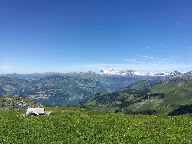 Fronalpstock Morschach, Schwyz Wandertipps & Fotos Komoot