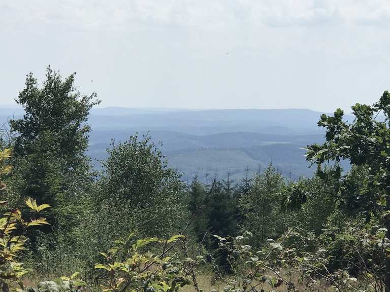 Kindelsberg Wanderungen und Rundwege komoot