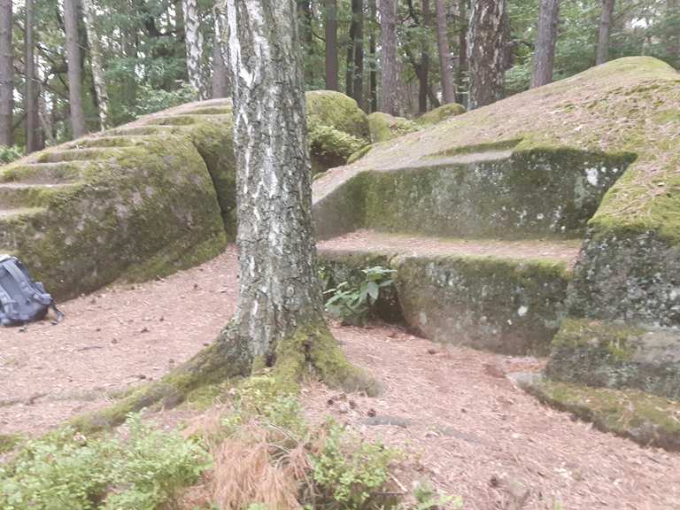 Briefkasten – Kanapee - Das steinerne Sofa Loop from Freinsheim | Wanderung