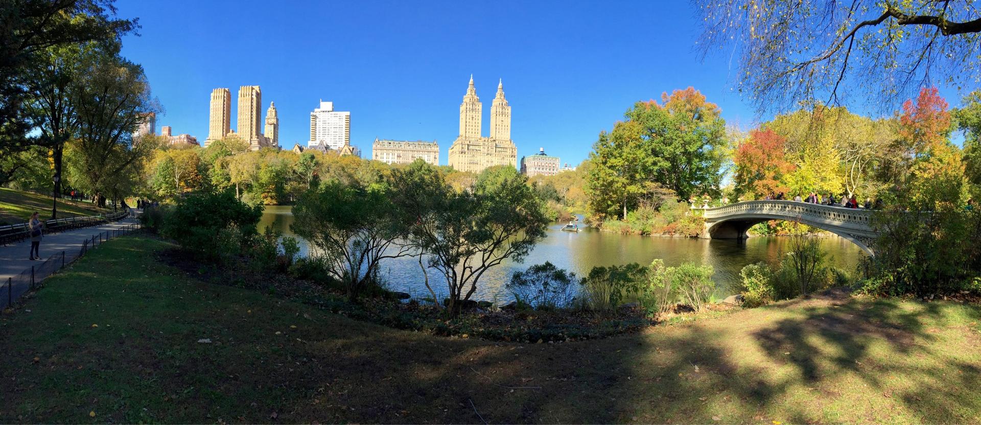 Panoramic view of lake, arched bridge, autumn trees, city buildings, sunny.