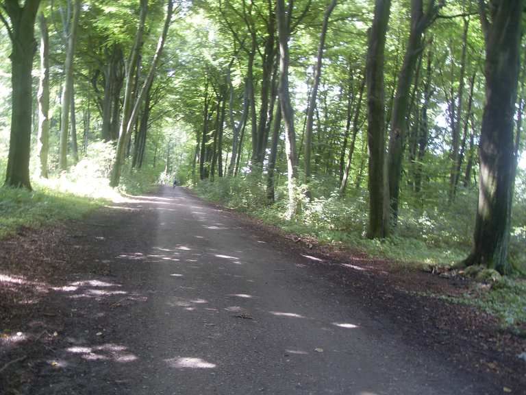 fahrrad weg von altenessen nach gelsenkirchen marina