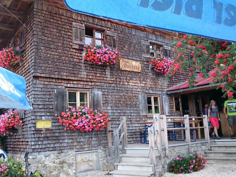 Alpe Oberberg Wanderungen und Rundwege komoot