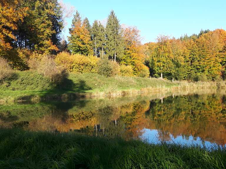 Weiheranlagen am Anhauser Bach Mountain Bike Trails & Tracks | Komoot