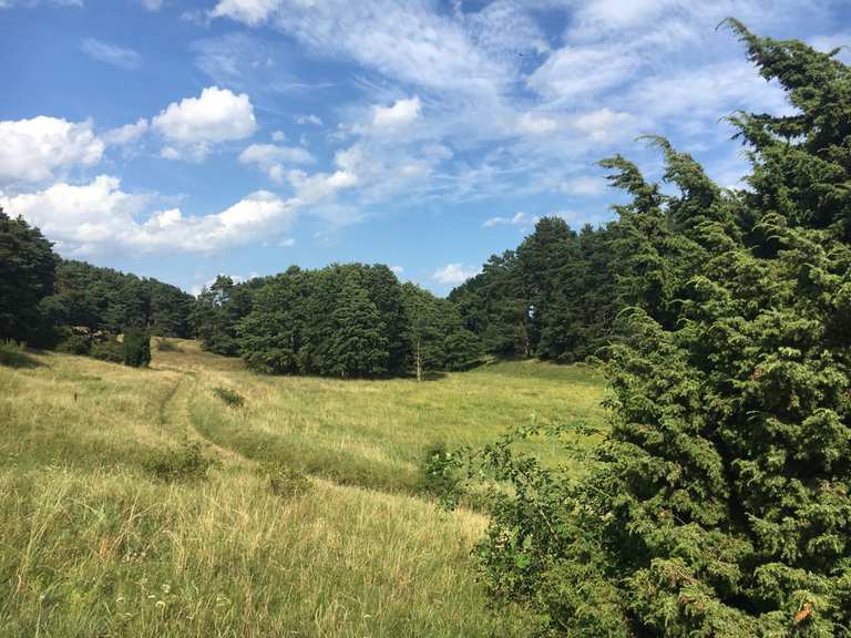 Südspitze Gnitz – Steilklippen Weißer Berg Runde von Haus Sandra