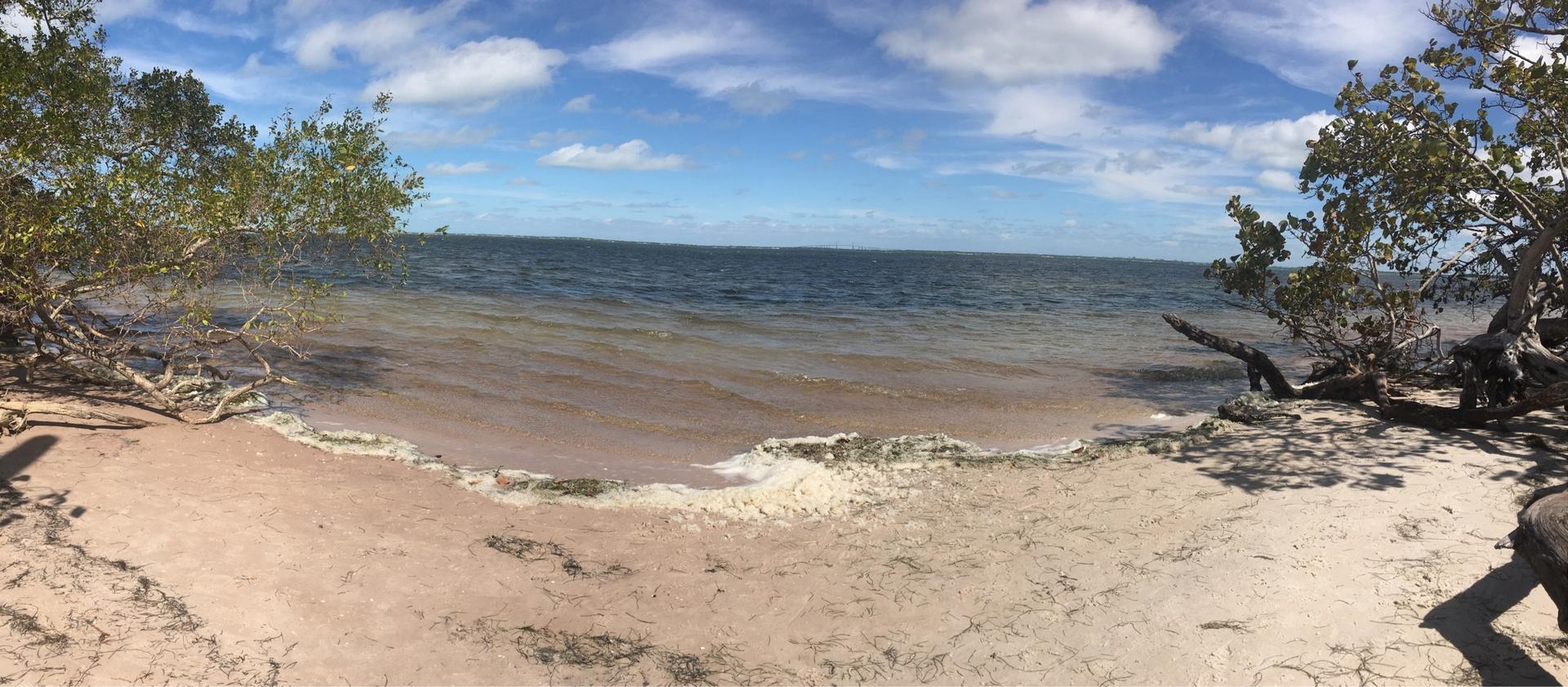A panoramic view of a sandy beach with foamy waves and trees on either side.
