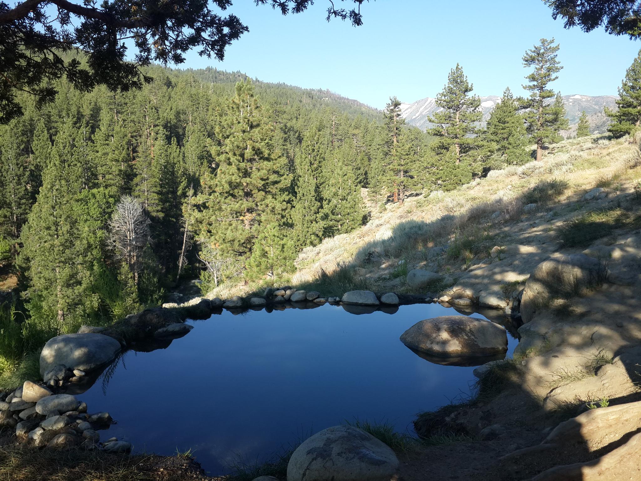 A small, dark pool surrounded by rocks on a sunny forested slope.
