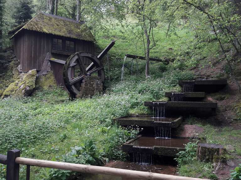 Grünhütte am Eulenloch – Kurpark Bad Wildbad Runde von Talstation ...