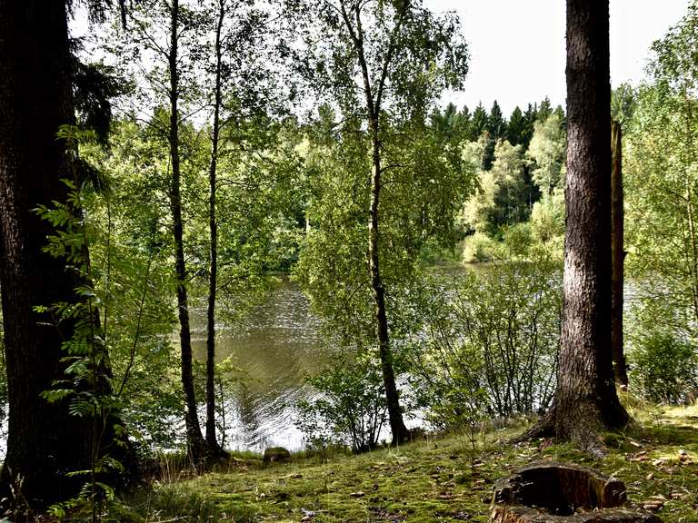 BergratMüllerTeich (HWN 190) Routes for Walking and Hiking Komoot