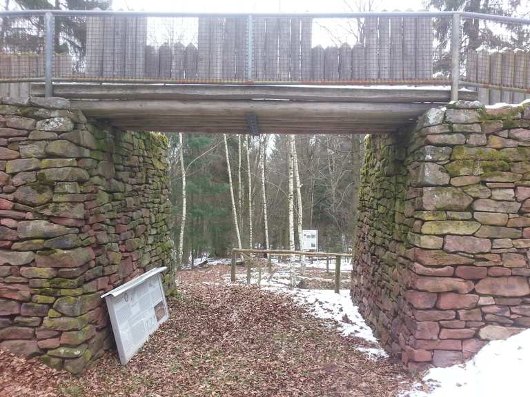 Ringwallanlage Wanderungen und Rundwege komoot