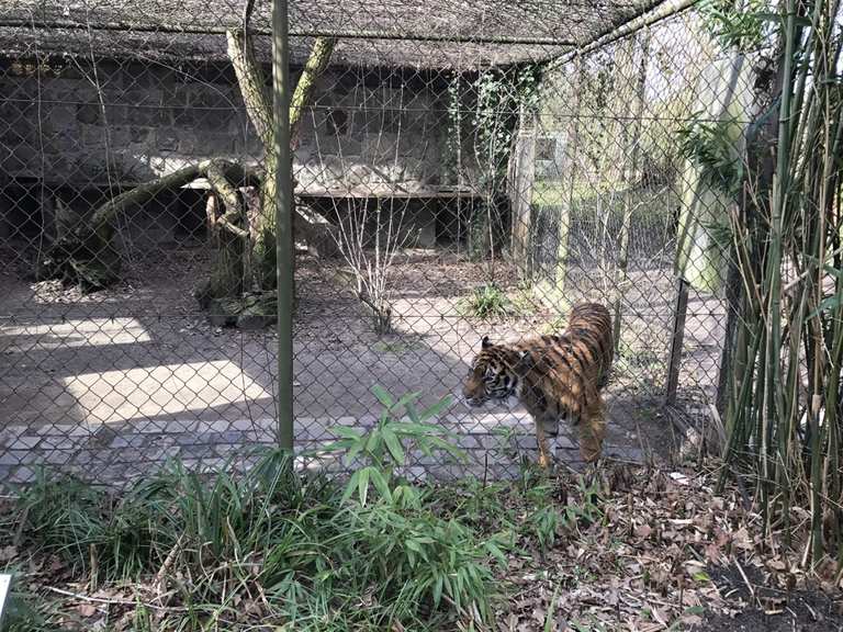 Naturzoo Rheine wandelroutes en hikes Komoot