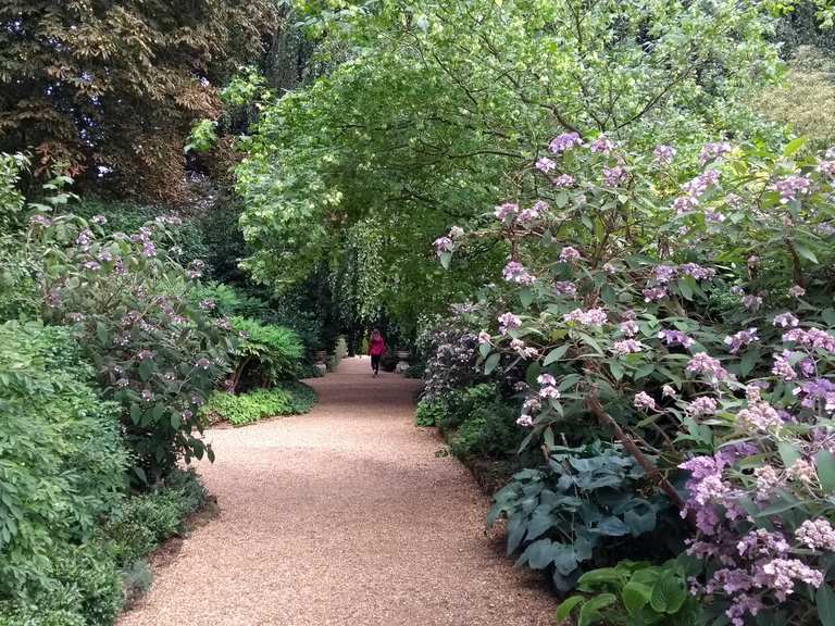 Rothschild properties in the home counties, Ascott House and Garden