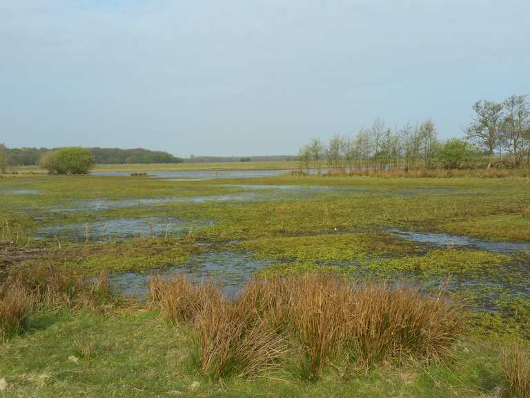 Natuurgebied bij Renesse Radtouren und Radwege komoot