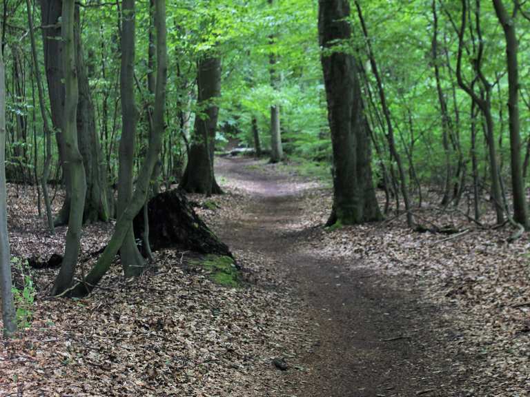 5jährige mit fahrrad mitnehmen