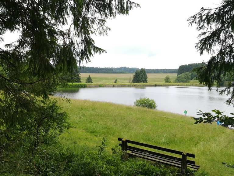 Ziegenberger Teich ClausthalZellerfeld, Goslar Wandertipps & Fotos
