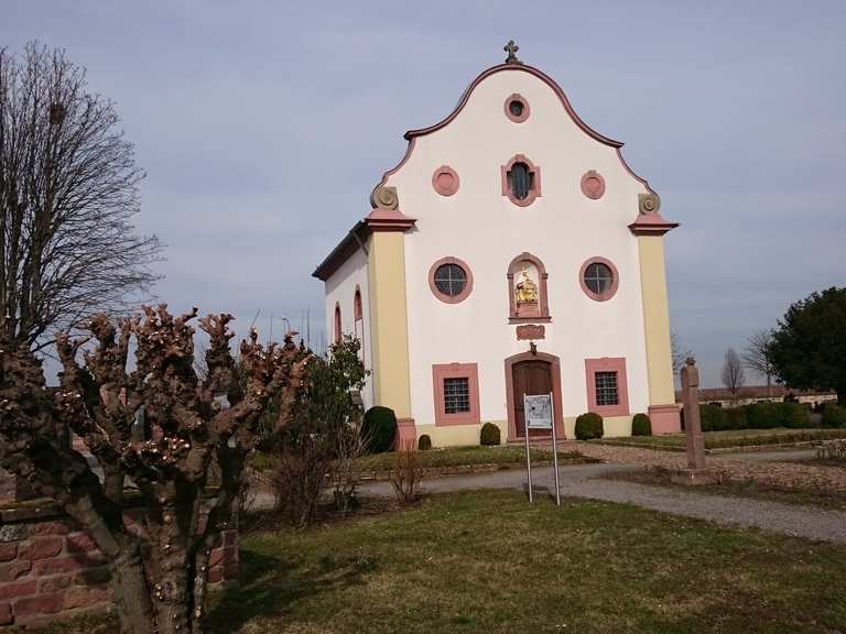 Marienkapelle Wanderungen und Rundwege komoot