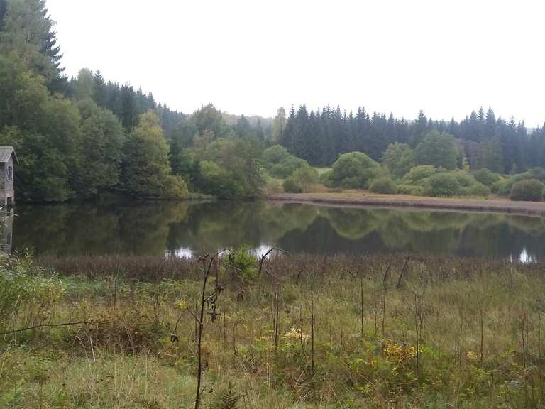 Schwarzer Teich Wanderungen und Rundwege komoot