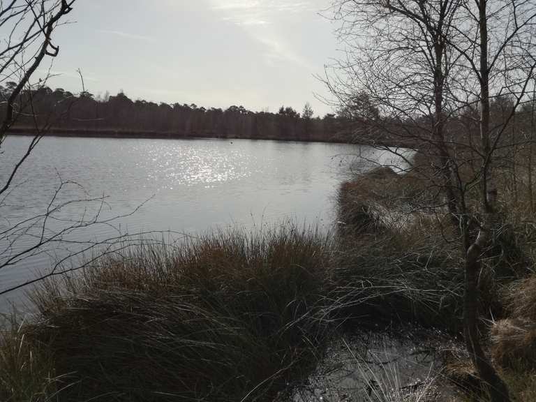 Großer Teich Venner Moor Wanderungen und Rundwege komoot