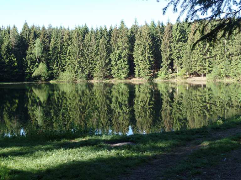 Heiliger Teich (im Moment Baustelle) Wanderungen und Rundwege komoot