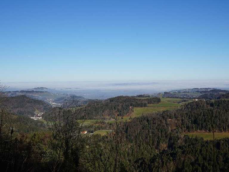 St. Iddaburg Wanderungen und Rundwege komoot