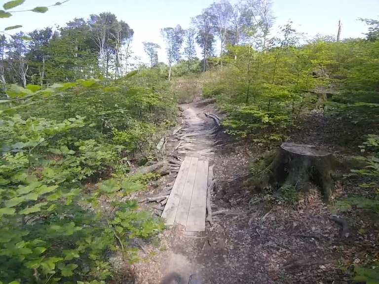 RoanTrail Mountain Bike Trails & Tracks Komoot