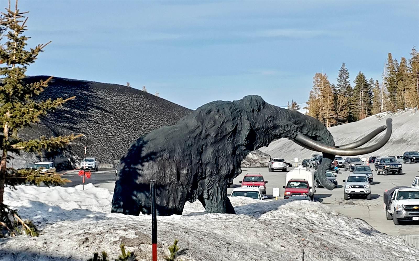 Large dark mammoth sculpture with tusks on a snowy hill, cars in background.