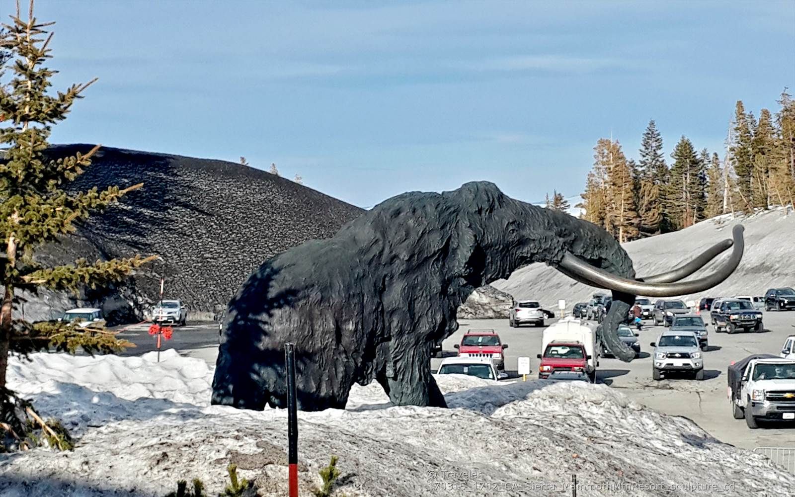 Large dark mammoth sculpture with tusks on a snowy hill, cars in background. - Village Plaza – Mammoth Mountain Resort loop from Eagle Lodge
