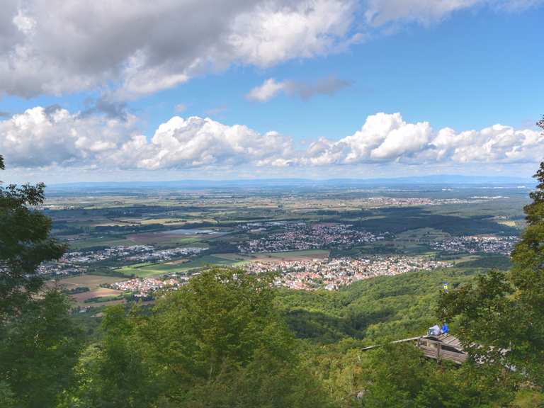 Melibokus Wanderungen und Rundwege komoot