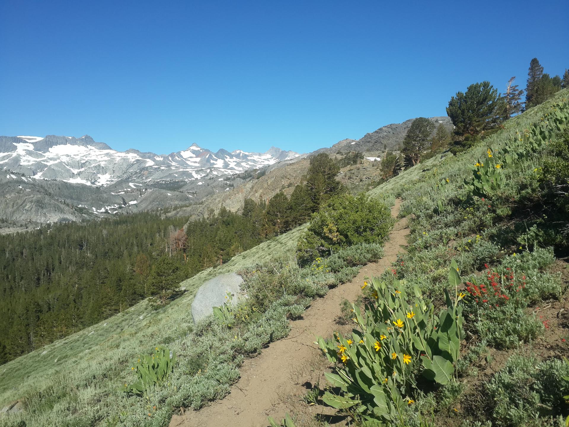 Dirt trail winds up a grassy hillside with distant snow-capped mountains under clear sky.