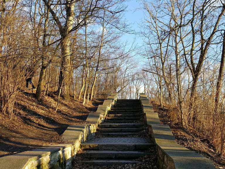 Großer Bunkerberg Routes for Walking and Hiking | Komoot