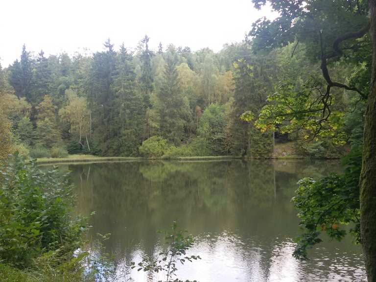 Neuer Teich, wandelroutes en hikes Komoot