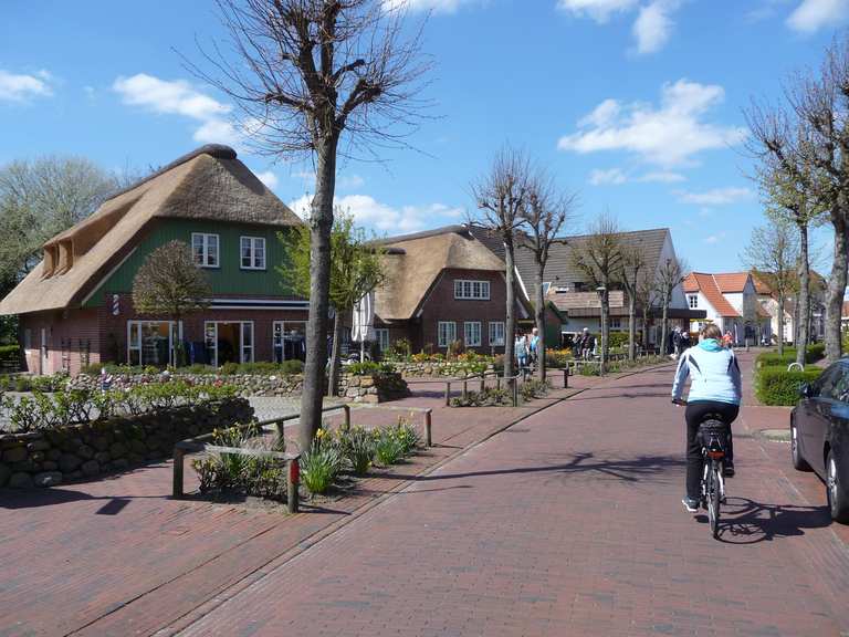 fahrrad mit hundeanhänger st peter ording