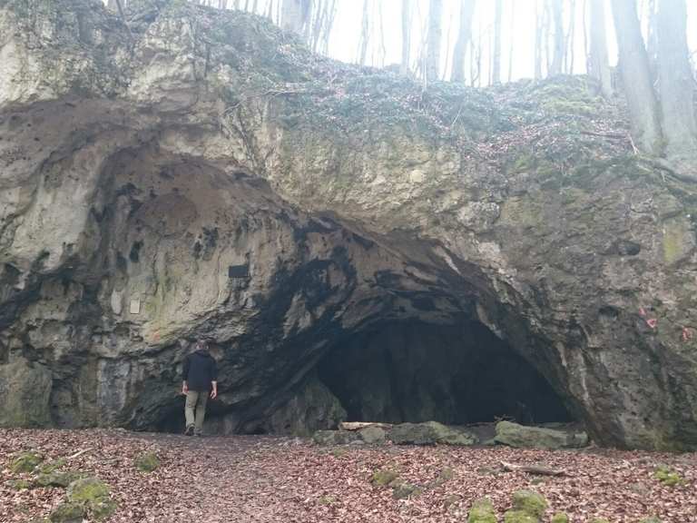Oswaldhöhle Wiesenttal, Forchheim Wandertipps & Fotos Komoot