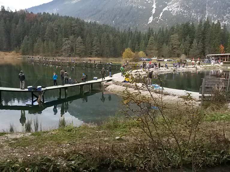 Weidachsee Wanderungen und Rundwege komoot