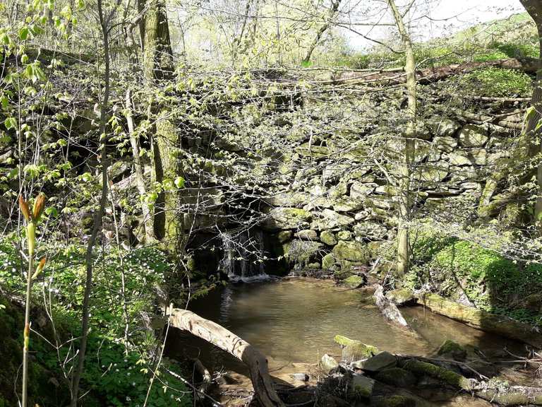 Somsdorfer Klamm Wanderungen und Rundwege komoot