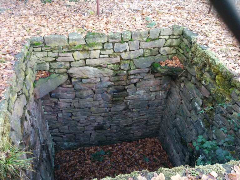 Trail zur Wolfsgrube MountainbikeTouren komoot