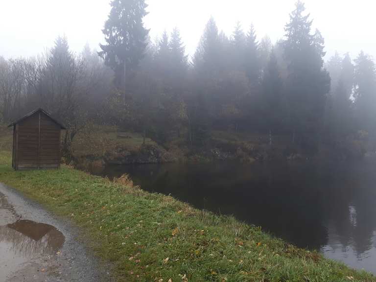 Ziegenberger Teich Wanderungen und Rundwege komoot