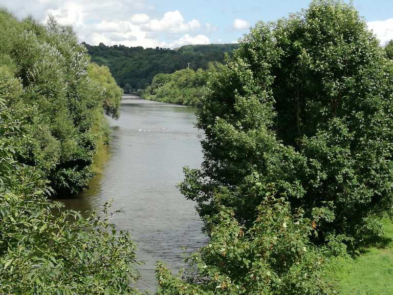 Neckarradweg Bei Lauffen Lauffen Am Neckar Loop From Mundelsheim