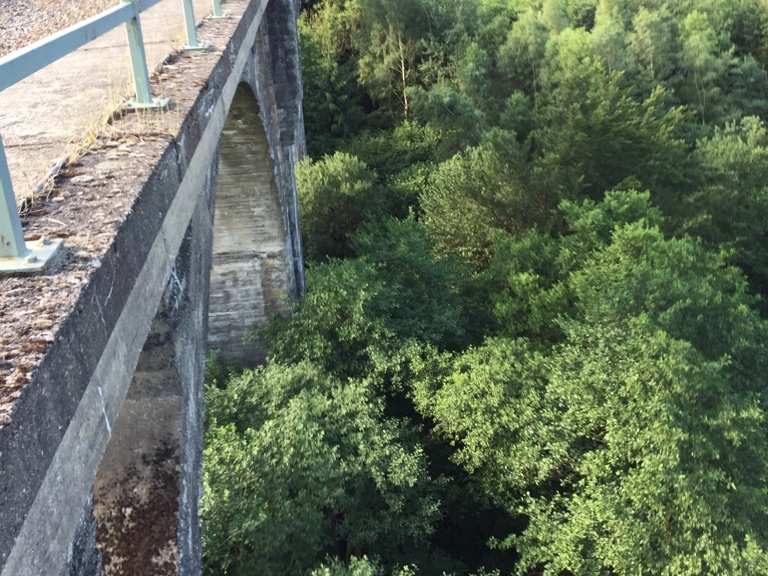 Nistertalbrücke bei Dreisbach MountainbikeTouren und Trails komoot