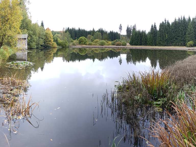 Schwarzer Teich Wanderungen und Rundwege komoot