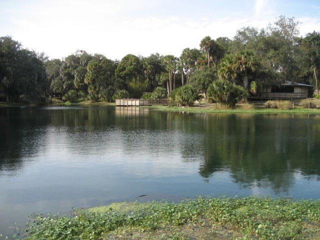 Calm lake surrounded by dense green trees and a wooden dock under natural light.