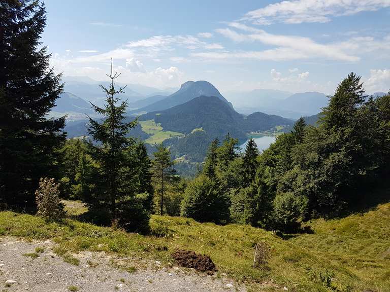 Steiner Hochalm: Wanderungen und Rundwege | komoot