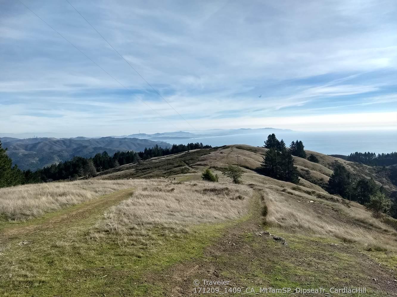 Grassy hills with scattered trees, overlooking a distant ocean.