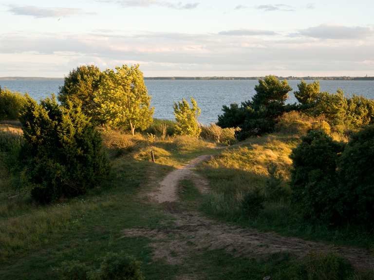 Steilklippen Weißer Berg - Lütow, Vorpommern-Greifswald | Wanderweg