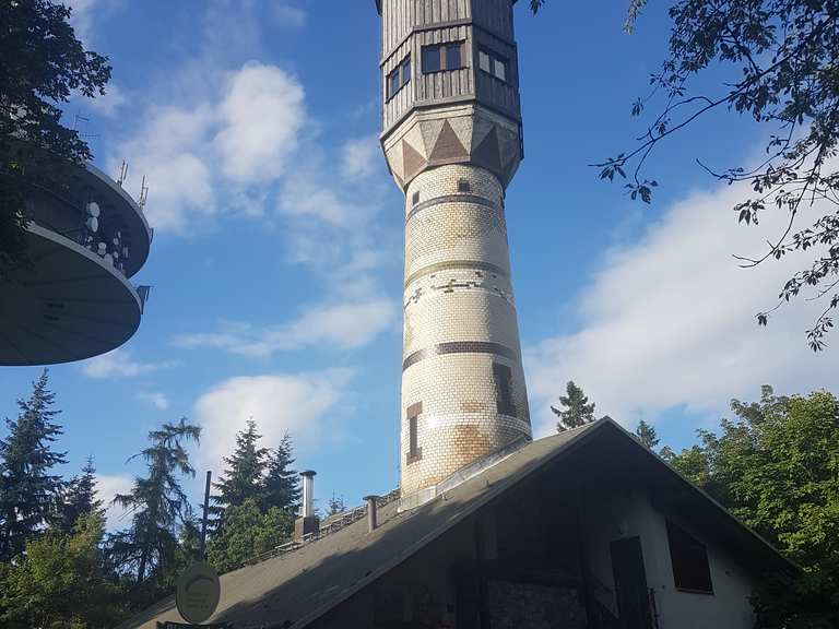 Dünsberg MountainbikeTouren und Trails komoot