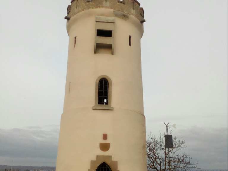 Wartturm Nierstein Routes for Walking and Hiking | Komoot